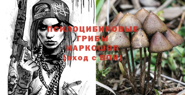 ECSTASY Абдулино