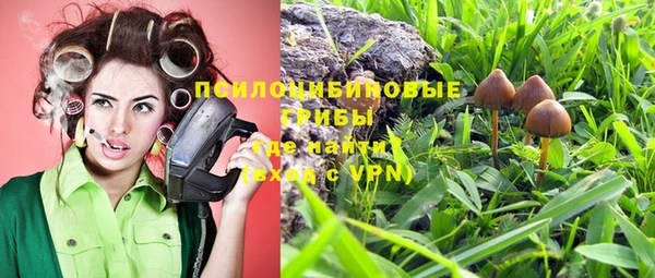 марихуана Абаза