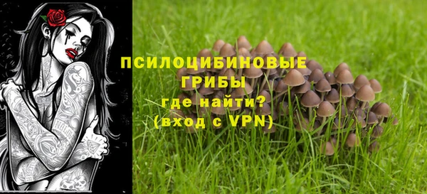 гидра Сафоново