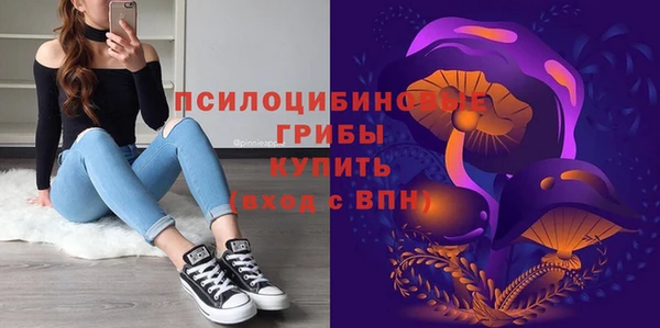 гидра Сатка