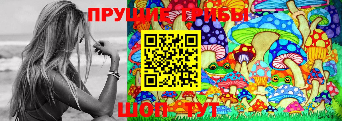 Псилоцибиновые грибы Psilocybine cubensis  Вход с VPN  Сертолово  Псилоцибиновые грибы ЛСД 
